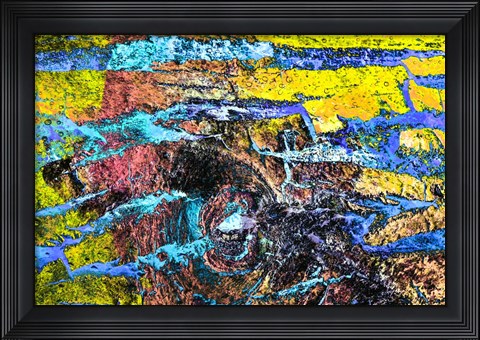 Framed Colorful Bark 11 Print