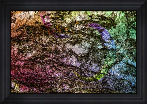 Framed Colorful Bark 15 Print