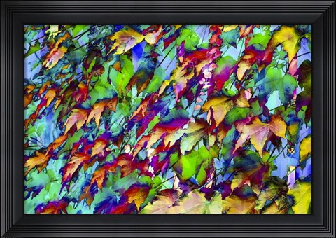 Framed Colorful Foliage 10 Print