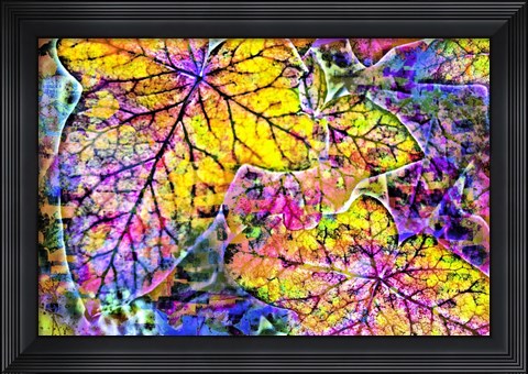 Framed Rainbow Colors 2 Print