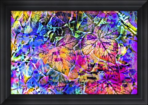 Framed Rainbow Colors 14 Print