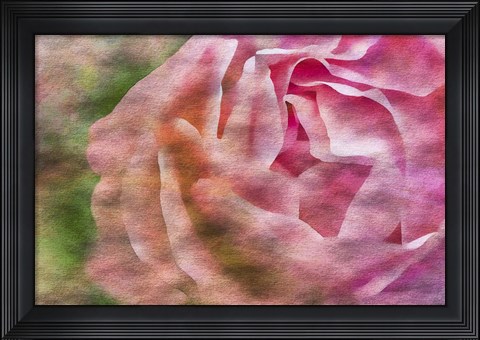 Framed Roses on Canvas 1 Print