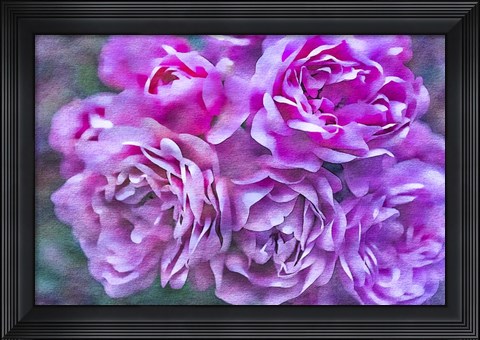 Framed Roses on Canvas 4 Print