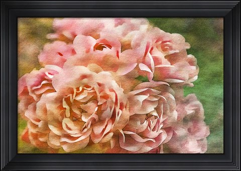 Framed Roses on Canvas 25 Print