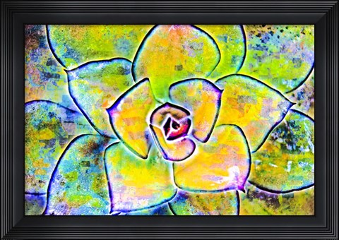Framed Succulent Dressed in Rainbow Colors 4 Print