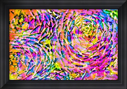 Framed Succulent Dressed in Rainbow Colors 14 Print