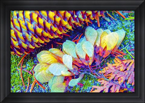 Framed Nature in Rainbow Colors 1 Print