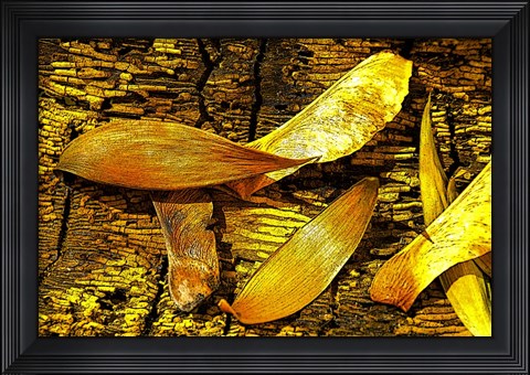 Framed Nature in Yellow Tones 6 Print
