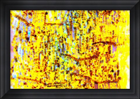 Framed Playful Laugh 18 Print