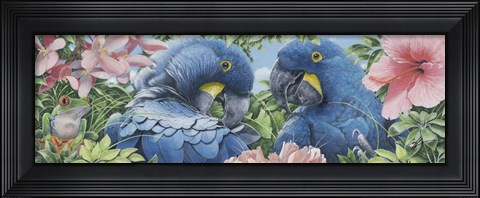 Framed Blue Macaws Print