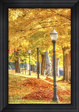 Framed Lamp Post And Leaves Print