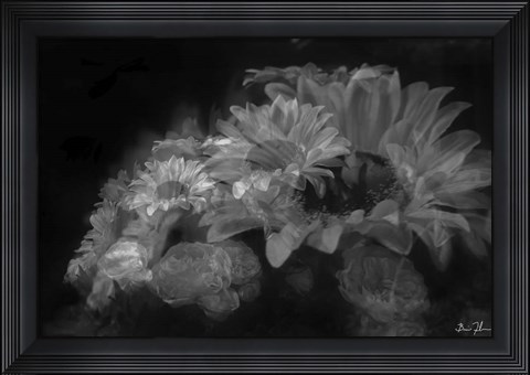 Framed Pedals Of White Print