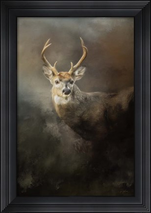 Framed Buck In The Moonlight Print
