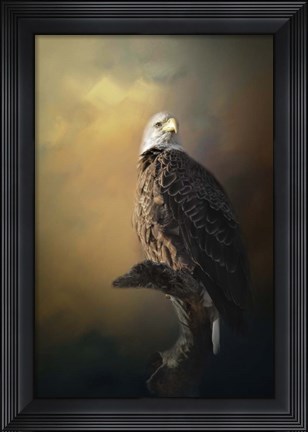 Framed Eagle On The Levy Print