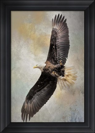 Framed Hirams Arrival Print