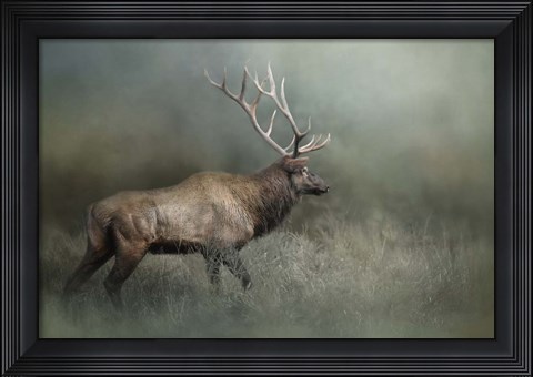 Framed Meandering Print