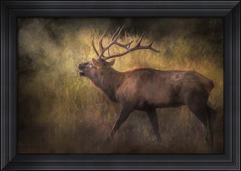 Framed Sound of The Season Print