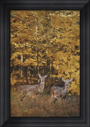 Framed Whitetails In Autumn Print