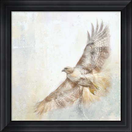 Framed Angel Hawk Print