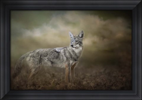 Framed Before The Storm Print