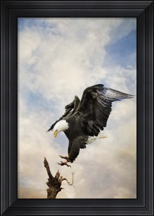 Framed Coming Down To Earth Print