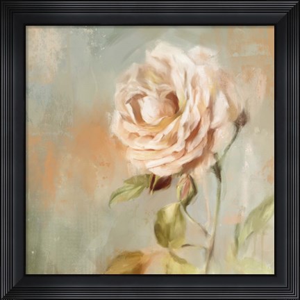 Framed Cottage Rose Print