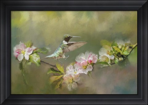 Framed Dance Like Nobodys Watching Print