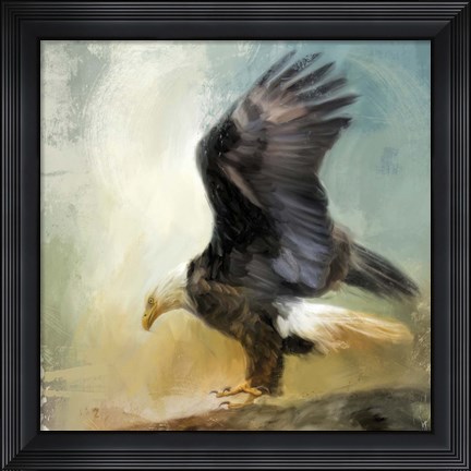 Framed Dance Of The Bald Eagle Print