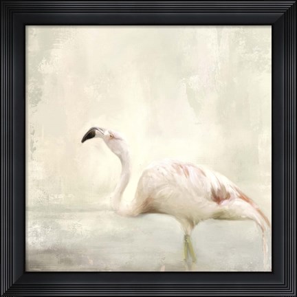 Framed Dressed In White Print