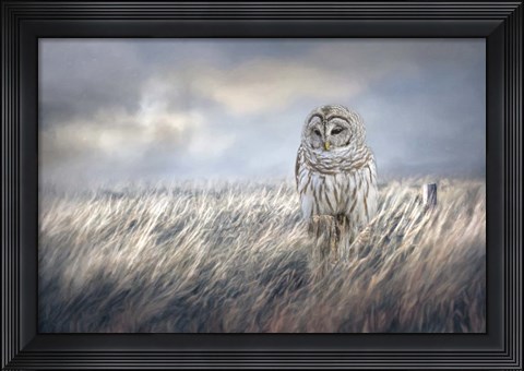 Framed Field Seeker Print