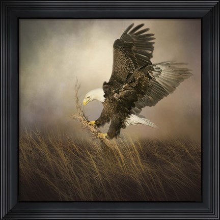 Framed Gathering Grass Print