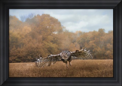 Framed Morning Mouse Hunting Print