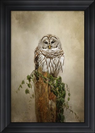 Framed Ollie and Ivy Print