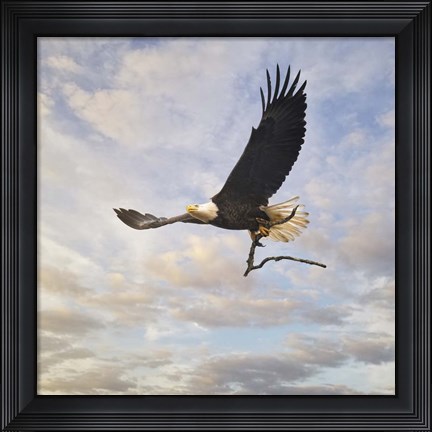 Framed Master Builder Print