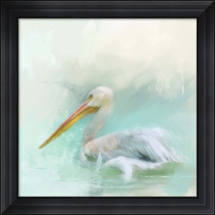 Framed White Pelican Print