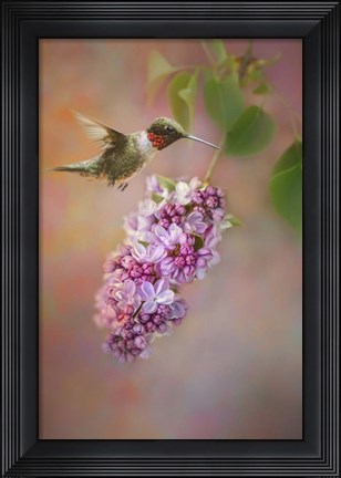 Framed Tiny Miracle Print