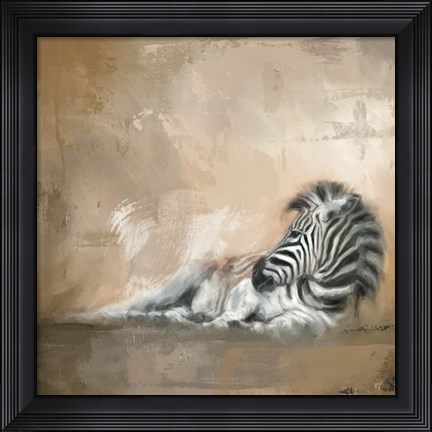 Framed Zebra At Rest Print