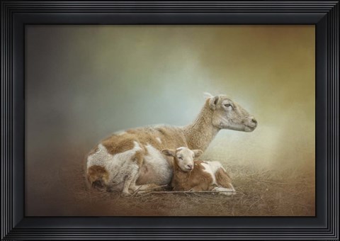 Framed Peaceful Mothers Love Print