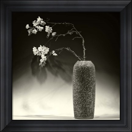 Framed Still Life with Apple Blossoms Print