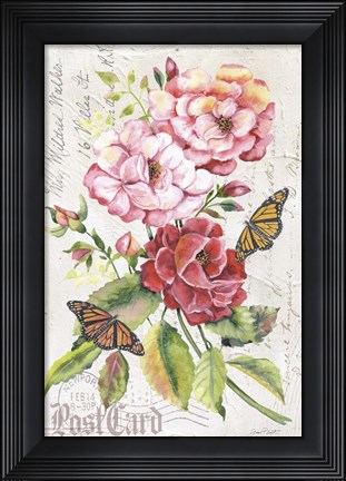 Framed Summer Rose Postcard A Print
