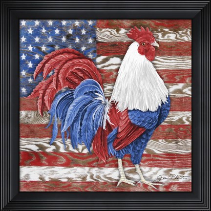 Framed American Rooster B Print