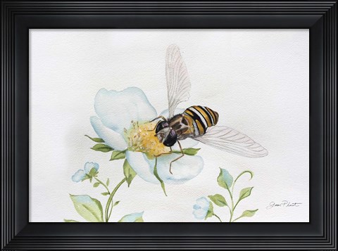 Framed Bee In Watercolor Print