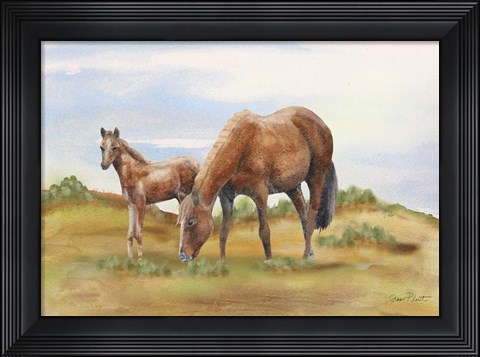Framed Farm Animal In Pasture D Print