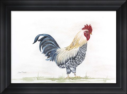 Framed Rooster In Watercolor Print