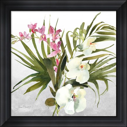 Framed Beautiful Orchids A Print