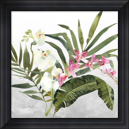 Framed Beautiful Orchids B Print