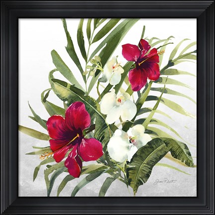 Framed Beautiful Orchids D Print