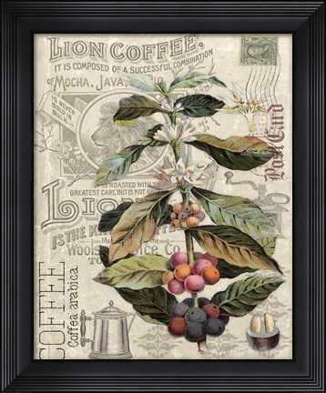 Framed Lion Coffee Print
