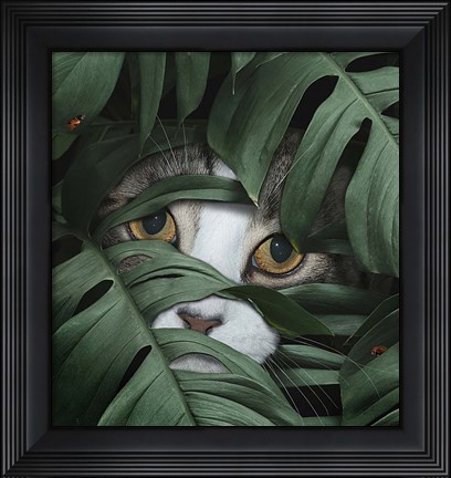 Framed Sneaky Cat Print