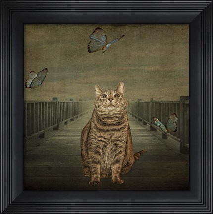 Framed Cat and Butterflies Print